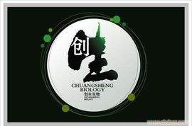 VI设计的专业力量 解析杭州宏光图文与ebdoor的图文设计制作服务